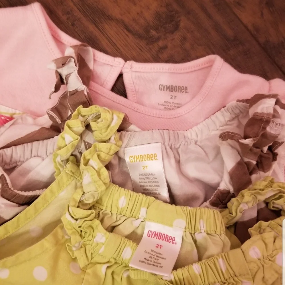 Gymboree top size 2T
